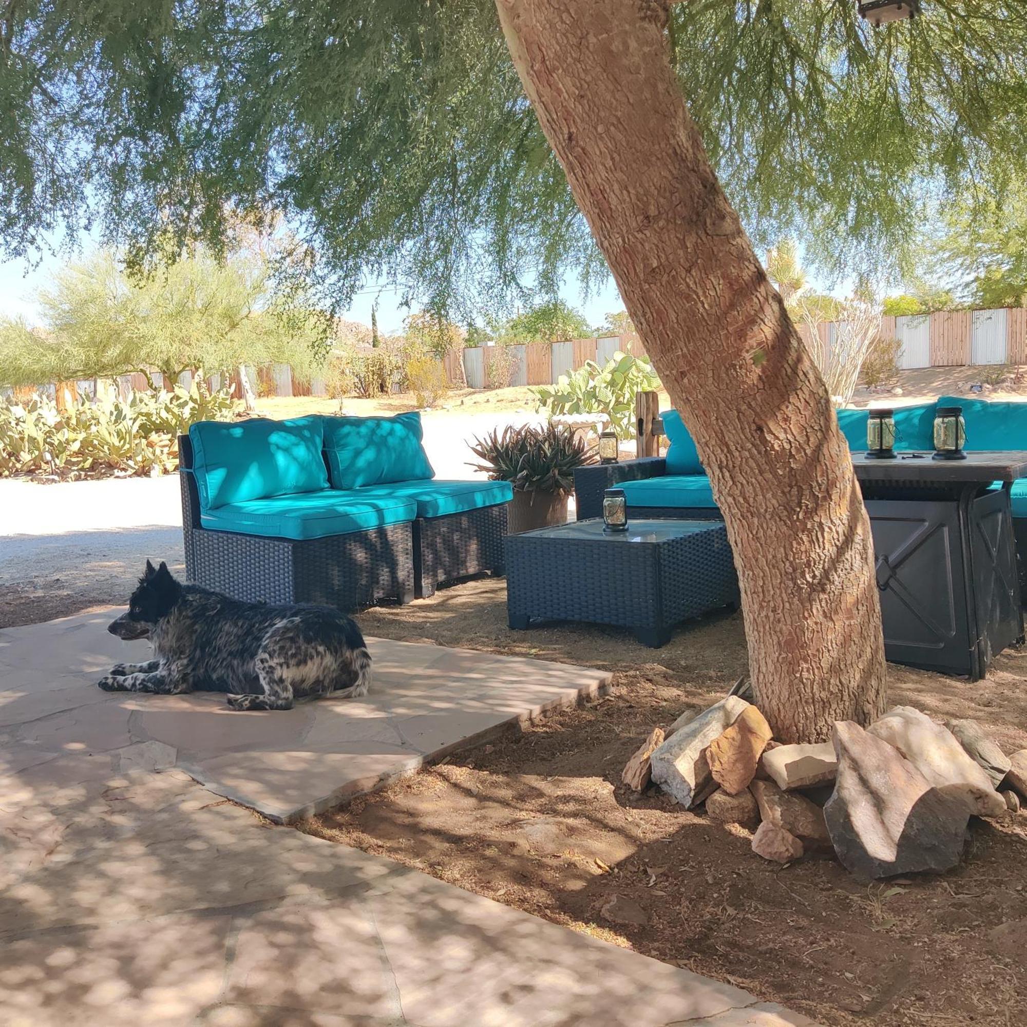 Joshua Tree Ranch House Motel - Downtown - Room #6 Luaran gambar